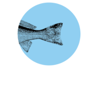 savvas-1-white-200x